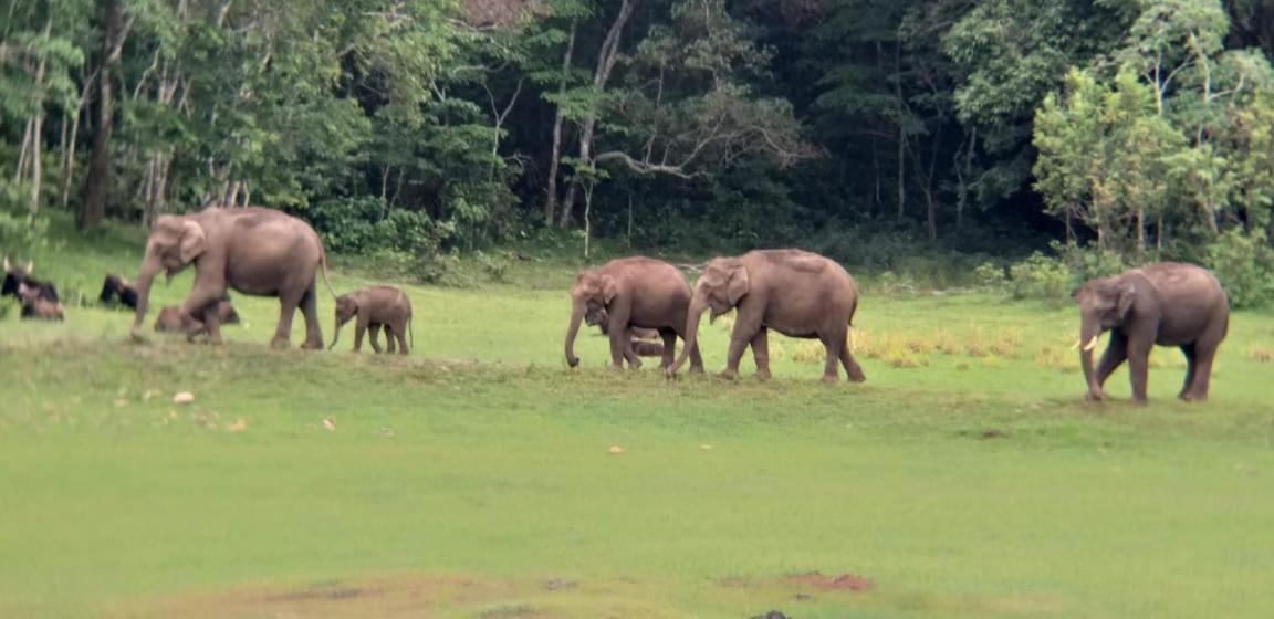 Aditi Thekkady Exterior photo