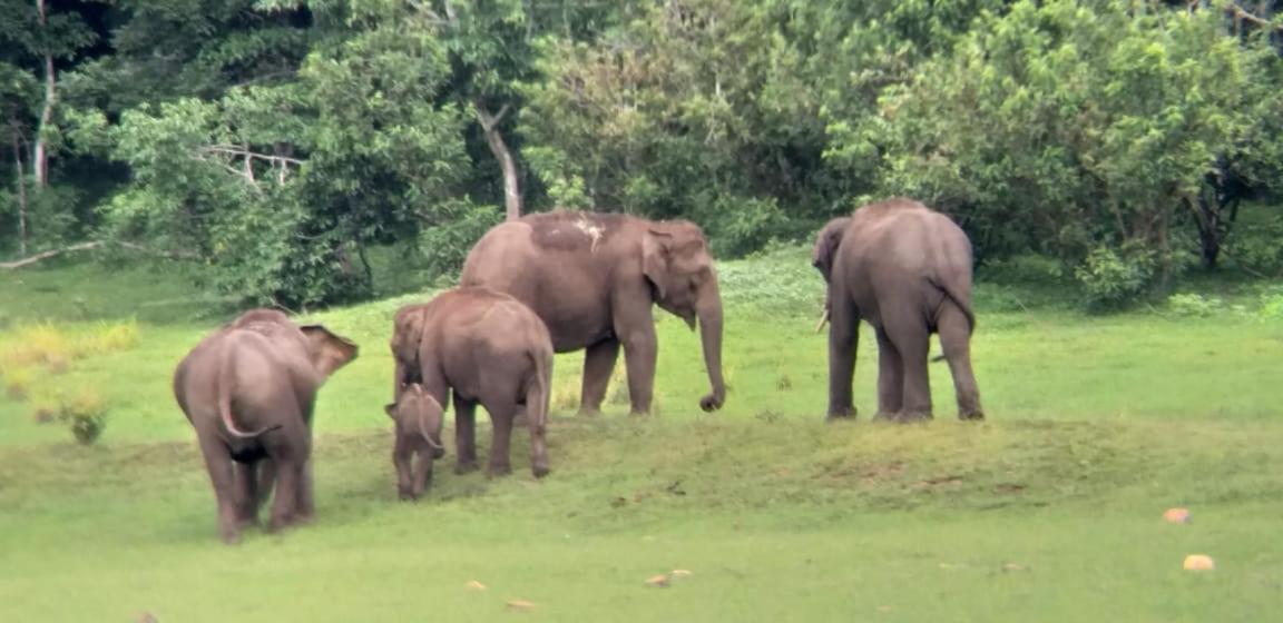Aditi Thekkady Exterior photo