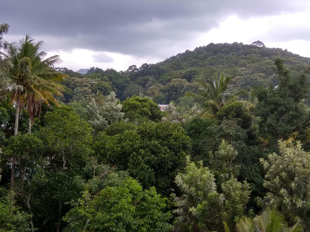 Aditi Thekkady Exterior photo